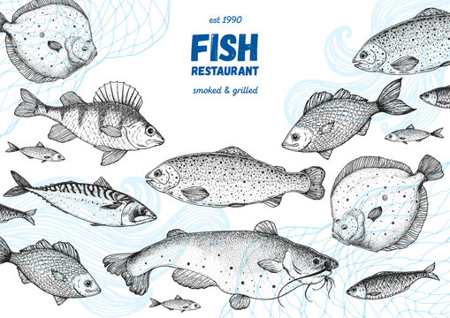 Fish sketch collection. Hand drawn vector illustration. Seafood frame vector illustration. Food menu illustration. Hand drawn flounder, mackerel, perch, catfish, bream. Sea and river fish.