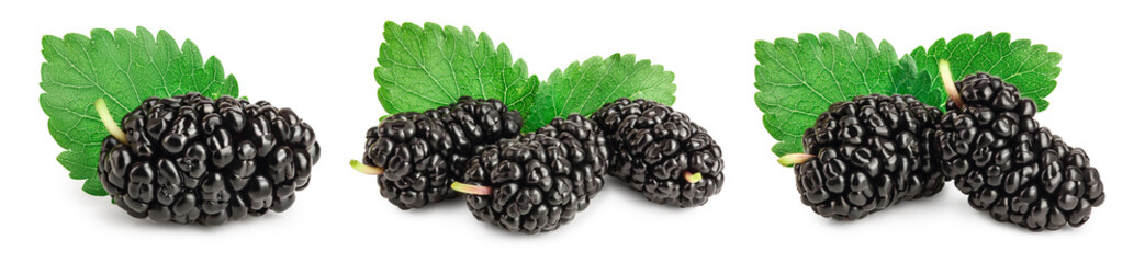 Mulberry with leaf isolated on white background. Set or collection