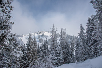 Allphotokz Chimbulak 20170124 5562 D810