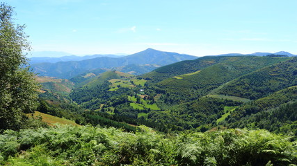 Fototapeta na wymiar View of a landscape of mountains and trees in a green valley of Spain