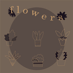 Flowers in pots. collection word color nature objects