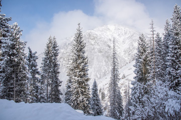 Allphotokz Chimbulak 20170124 5577 D810