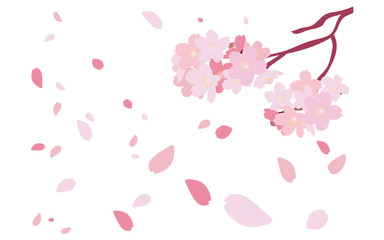 イラスト素材　桜　さくら　サクラ　花びら　木　ベクター