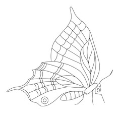 butterfly with ornament on the wings side view coloring page black contour illustration