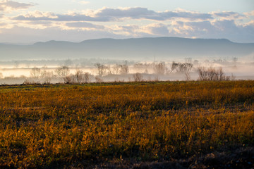 Fototapeta premium Morning fog