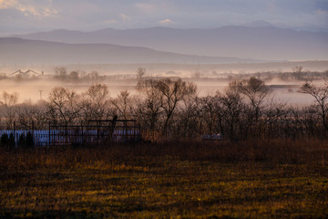 Morning fog