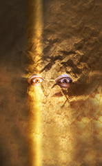 Kraft paper bag is on the man's head. Holes for eyes. Funny idea. Scary and horror concept.