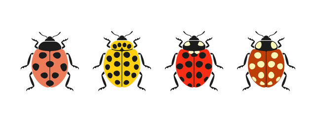 Fototapeta premium ladybug logo. Isolated ladybug on white background