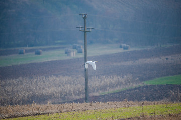 wind power station