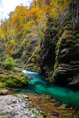 Autumn landscaoe near river