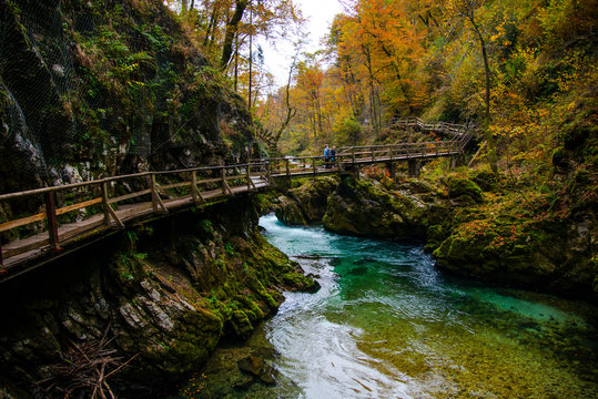Autumn landscaoe near river