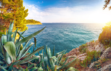 Beautiful sunset above Adriatic sea and coastline in Makarska.
