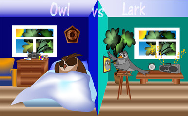 Lark vs Owl - neighbors owl and lark, different times of sleep and wakefulness, owl sleeps, lark hammer a nail, vector clip art