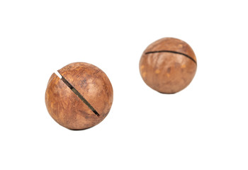 Macadamia nut isolated