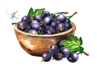 Bowl of Black currant berries. Hand drawn watercolor illustration isolated on white background