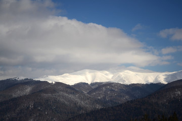 Fototapeta na wymiar Carpathian mountains covered with snow, Romania.
