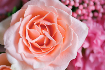 Bush rose in a bouquet close-up - 318668827