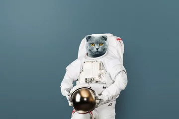 Foto op Plexiglas Jongenskamer Grappige kattenastronaut in een ruimtepak met een helm op een grijze achtergrond. Britse kattenruimtevaarder. Creatief idee