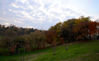 Hill with autumn colors in Tineretului park from Bucharest, Romania.