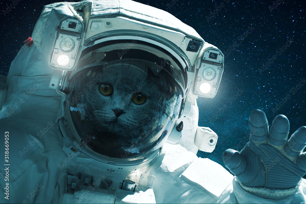 Poster Space cat in a spacesuit with hand on a background of the starry sky. Beautiful cat in outer space. Travel concept