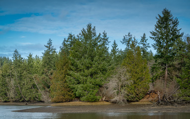 Eld Inlet Along Puget Sound, Olympia, Washington