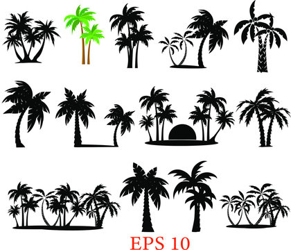 Tropical Palm Trees Set Silhouettes. Palm Set Clip Art ,black Palms, Eps 10