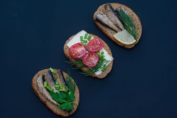 A variety of sandwiches with various fillings on a dark background. Sandwiches with sprats, with sardines on bread with herbs and sandwiches with tomatoes on a dark background. Food photography