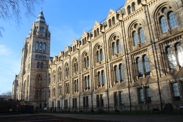 Fototapeta premium Museum of Natural History. London. United Kingdom