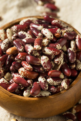 Raw Red Organic Cattle Beans