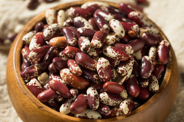 Raw Red Organic Cattle Beans