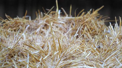 Hay bales stacked under a canopy. Dry baled hay bales stack, rural countryside straw background.