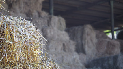 Hay bales stacked under a canopy. Dry baled hay bales stack, rural countryside straw background.