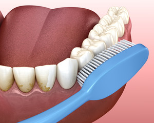 Toothbrush cleaning teeth. Medically accurate 3D illustration of oral hygiene.