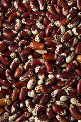 Raw Red Organic Cattle Beans