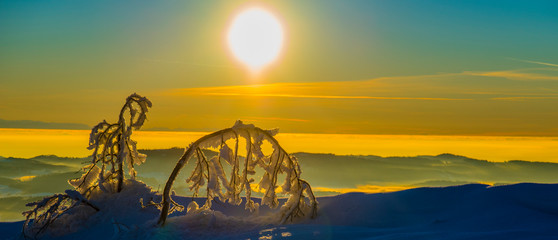 sunset