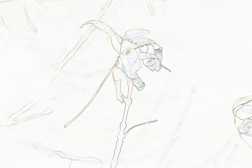  graphics of autumn leaves