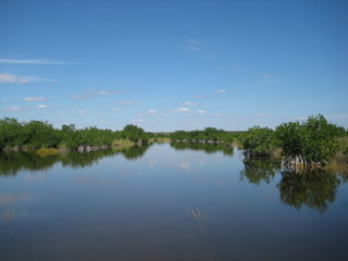 Beautiful scenery of Everglades national park in South Florida