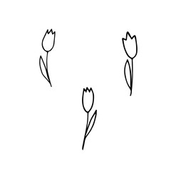 and drawn illustration. Funny tulips.  Doodle style, black lines on white,  simple silhouettes.