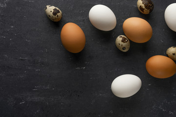 Quail eggs, white and brown chicken eggs flat lay on gray background
