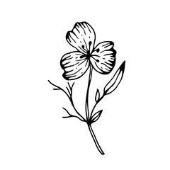 Flower doodle. Hand drawn vector illustration. Monochrome black and white ink sketch. Line art. Isolated on white background. Coloring page.