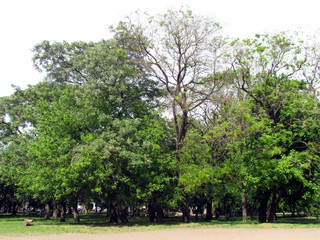 City of La Plata Municipal Park - Argentina