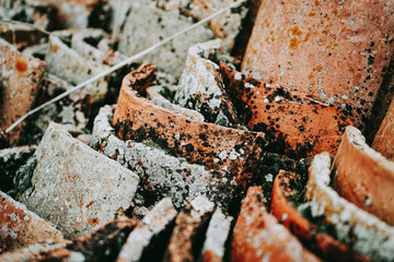 Old and dirty of moss roof tiles