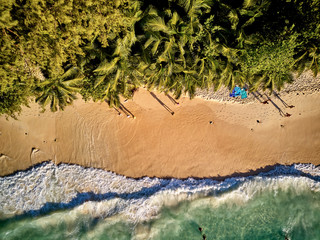 Beach at Seychelles aerial top view