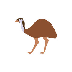Cute australian emu vector design