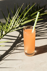 Summer cocktail concept with palm leaf and palm leaf's shade. A glass of fresh grapefruit tonic...