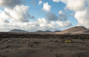 Fototapeta na wymiar Volcanic landscape of Timanfaya National Park on island Lanzarote, Canary Islands.