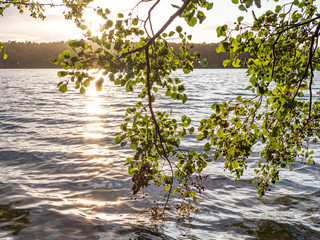 Naklejka premium Kalksee lake in Brandenburg, Germany