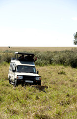 Tourist enjoying game drive on safari Jeep in Masai Mara National Reserve