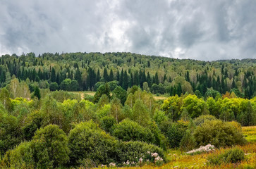 Early autumn overcast landscape - hills with dence forest covered