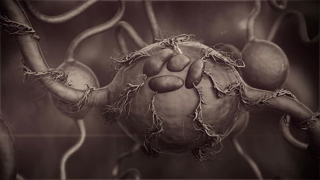 hormone produced by gland, Neurons and neural system, Active nerve cell in human neural system, Neuron Impulses, gland produce hormone
